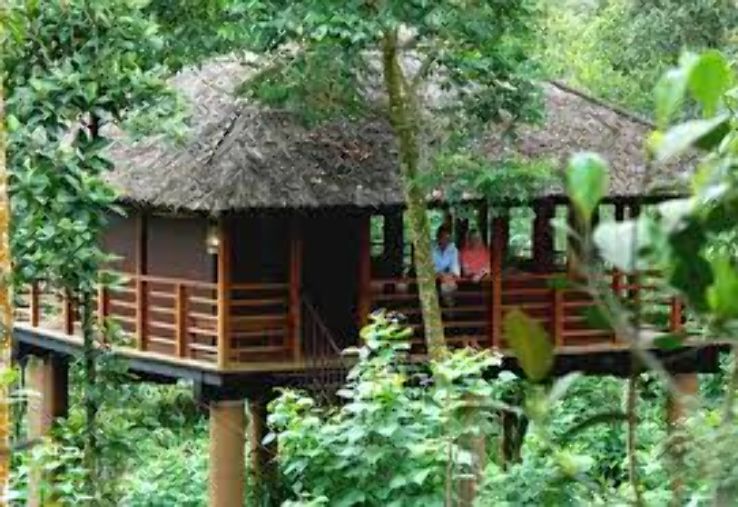 Magical 3 Days 2 Nights Thekkady Holiday Package