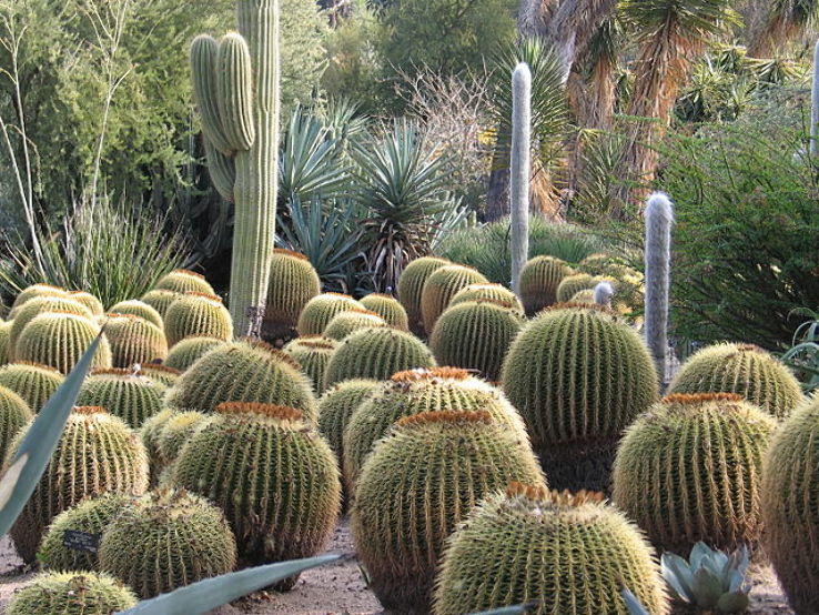 Huntington Desert Garden  Trip Packages