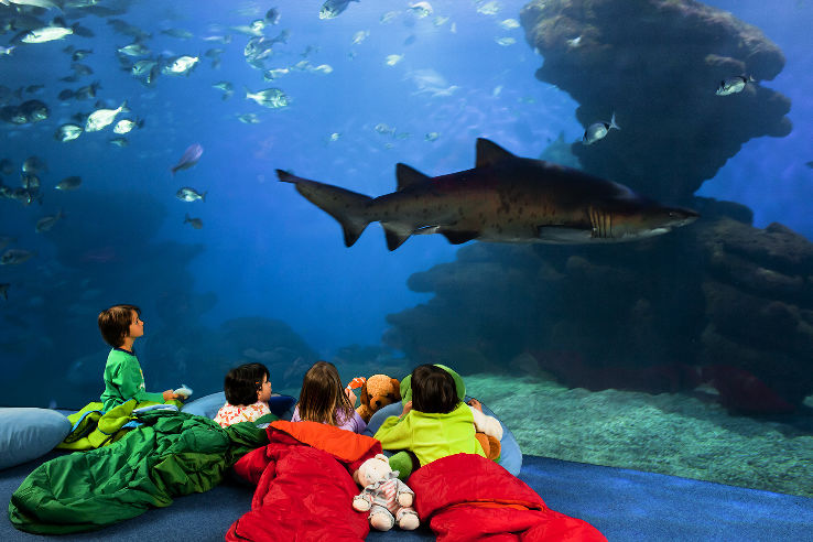 Palma Aquarium Trip Packages