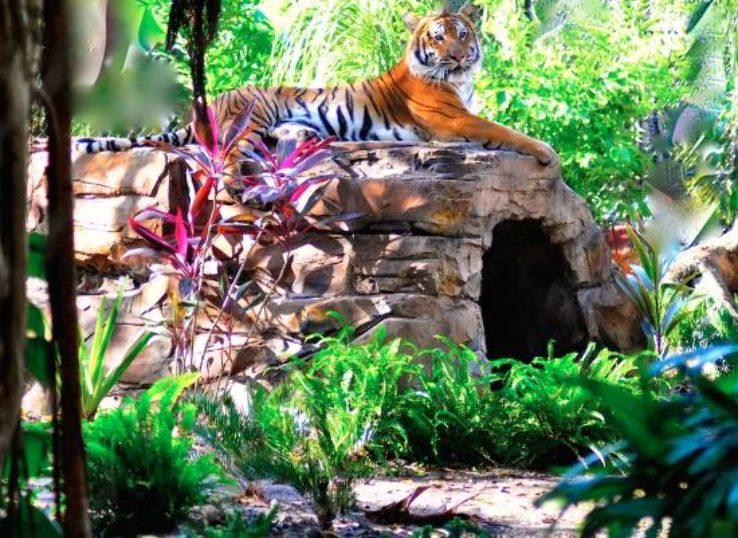 Palm Beach Zoo & Conservation Society, palm beach, United States Of