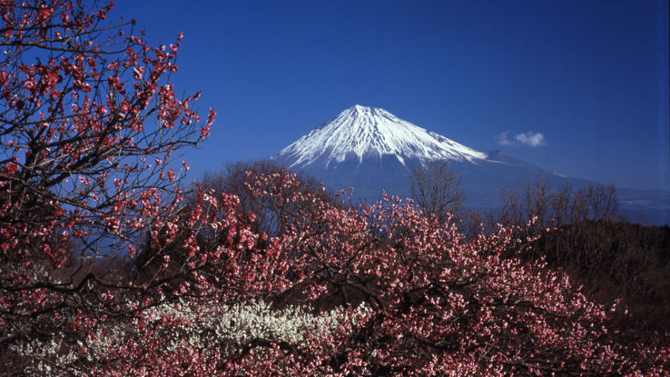 Fuji Trip Packages