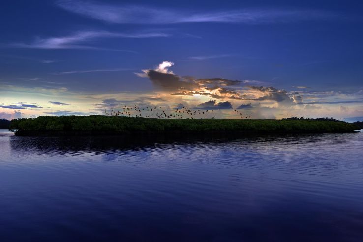 Best 2 Days 1 Night Andaman And Nicobar Islands Wildlife Tour Package