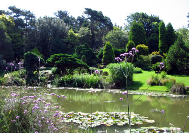 Pines Garden  Trip Packages