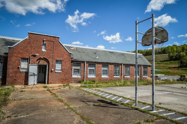 Locust Trip Packages