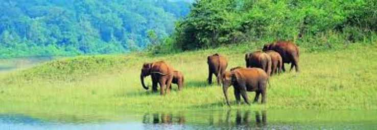 Beautiful 3 Days 2 Nights Periyar Holiday Package