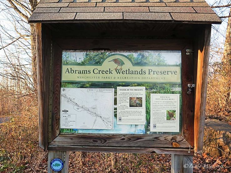 Abrams Creek Wetlands Preserve Trip Packages
