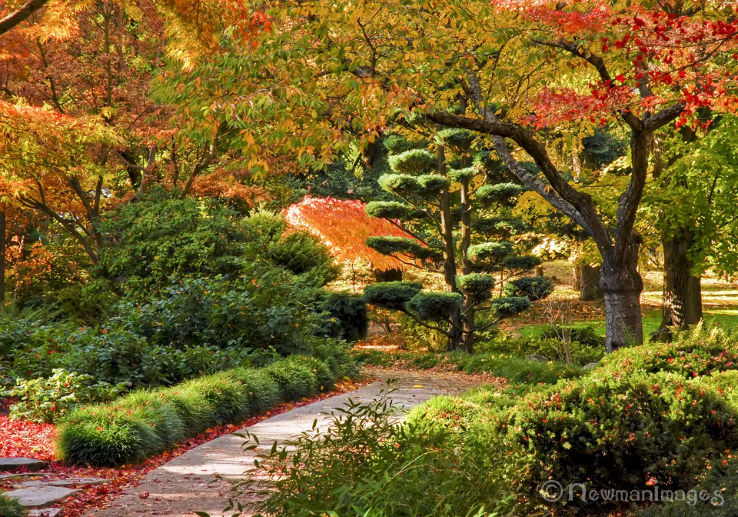 Ashland Trip Packages