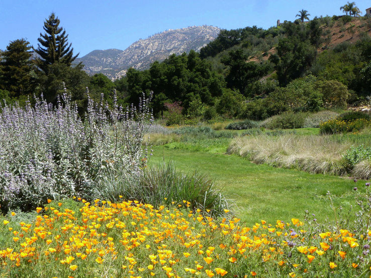The Santa Barbara Botanic Garden Trip Packages