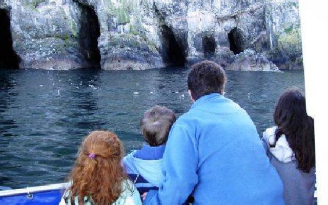 Leinster Trip Packages