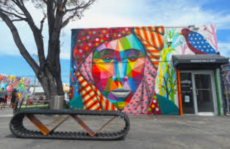 Wynwood Walls Street Art  Trip Packages