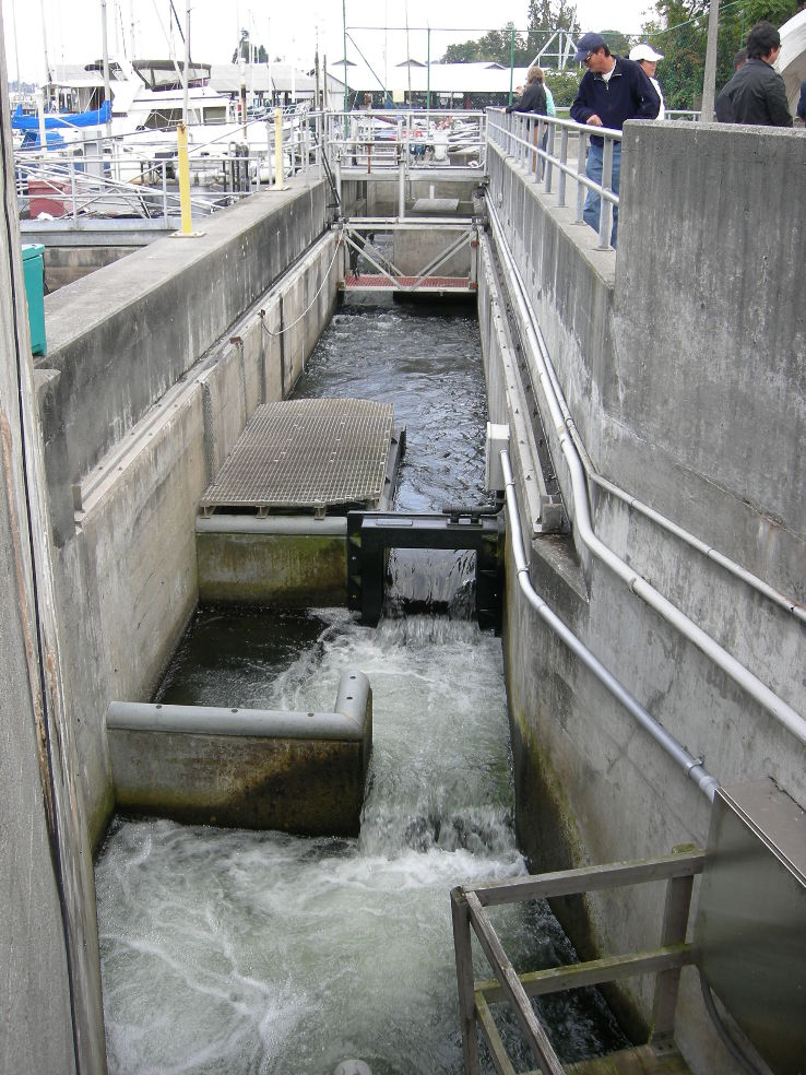 Chittenden Locks  Trip Packages