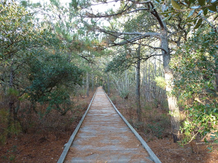 Corolla Trip Packages