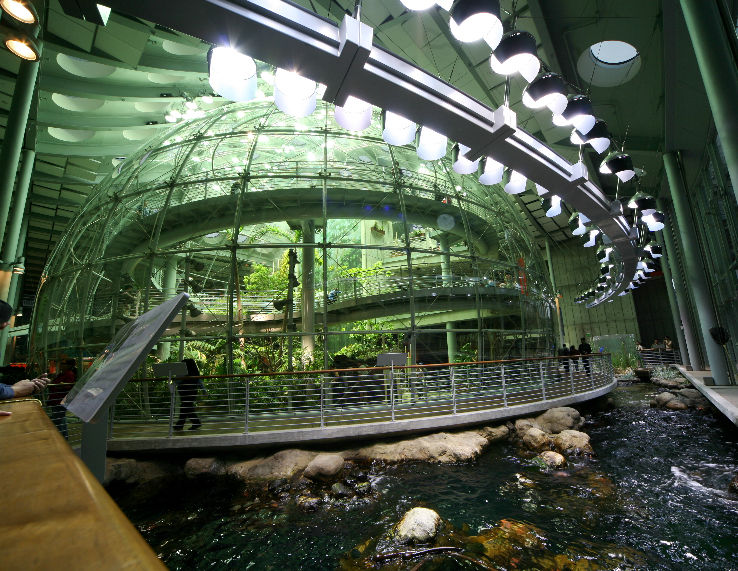 California Academy of Science  Trip Packages