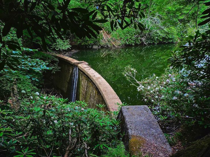 Norton Trip Packages