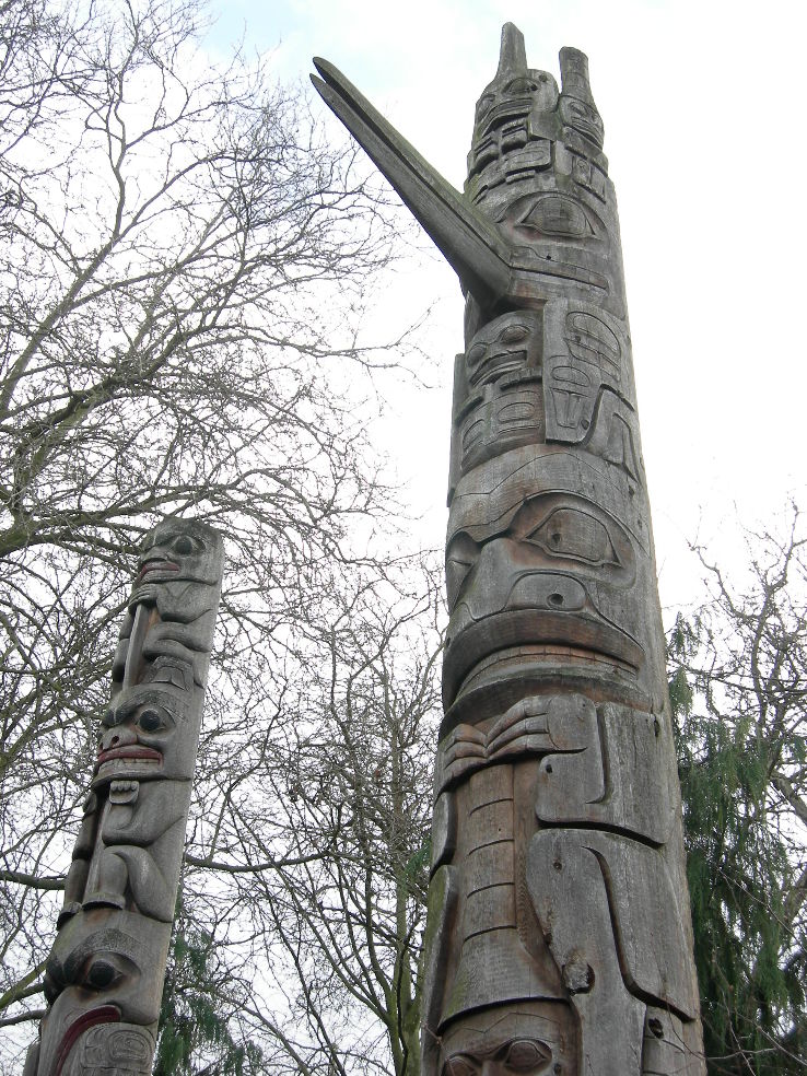 Burke museum of Natural History Trip Packages