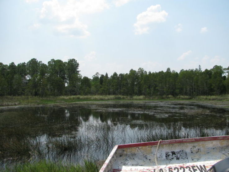 Gulf Coast Gator Ranch & Airboat Swamp Tours Trip Packages