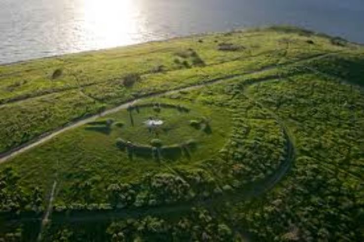 Cesar Chavez Park Trip Packages