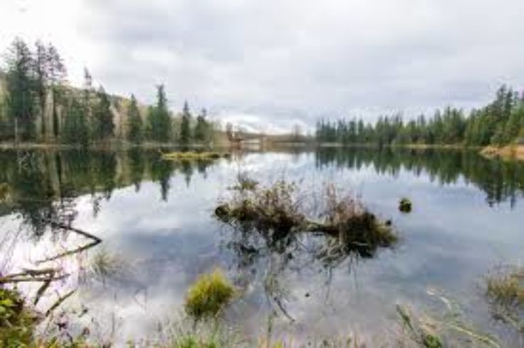 Dark Diamond Natural Area  Trip Packages