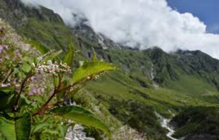 Ecstatic 4 Days 3 Nights joshimath Friends Tour Package