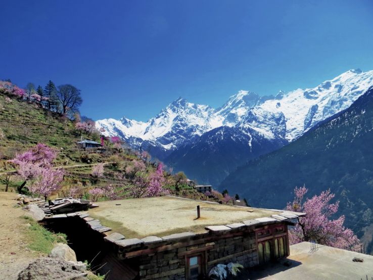 Kalpa  Trip Packages