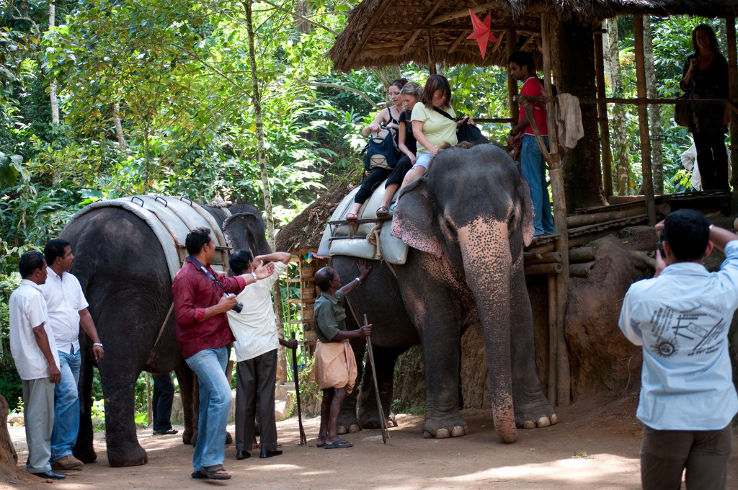 Elephant Ride  Trip Packages