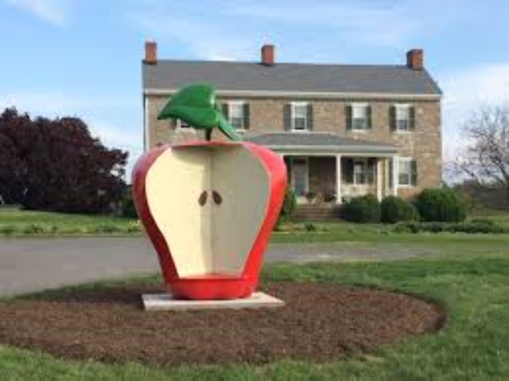 Marker Miller Orchards and Farm Market Trip Packages