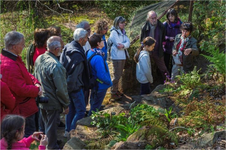 Jardin Botanique du col de Saverne Trip Packages