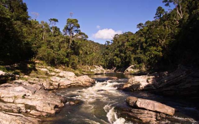 Ranomafana National Park Trip Packages