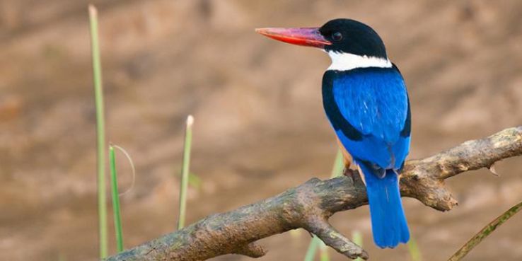 Best 3 Days Sundarban Vacation Package