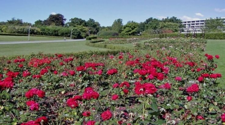 Rose Garden Trip Packages