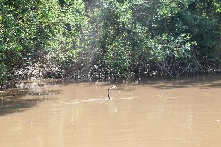 Bolivia Trip Packages