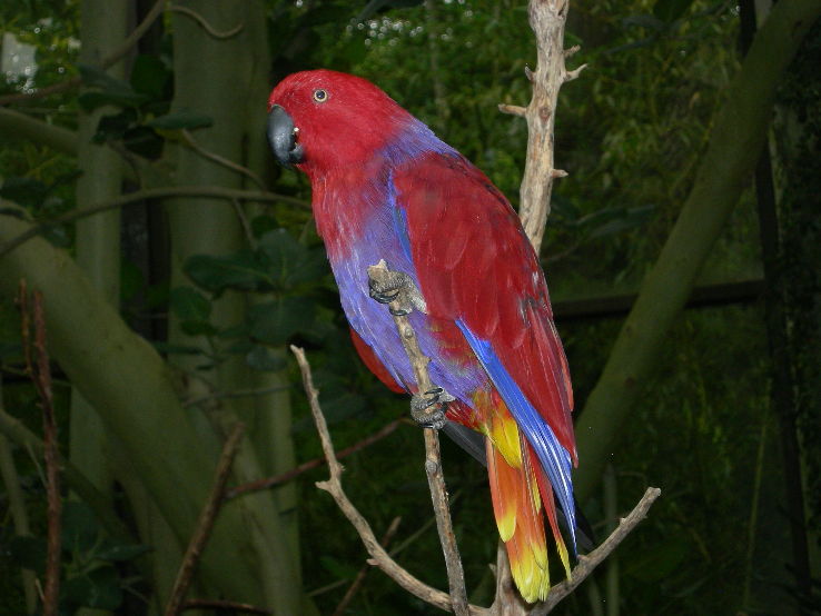 North Carolina Zoo  Trip Packages