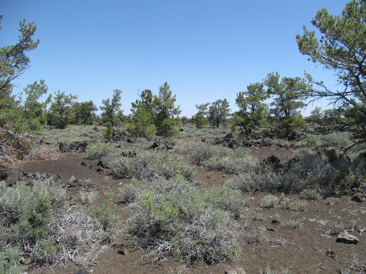 Craters of the Moon National Monument & Reserves  Trip Packages