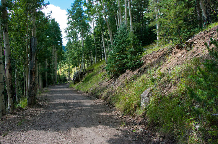 Coconino National Forest  Trip Packages