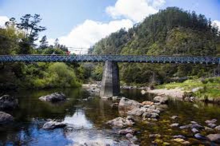 Hauraki Rail Trail Trip Packages