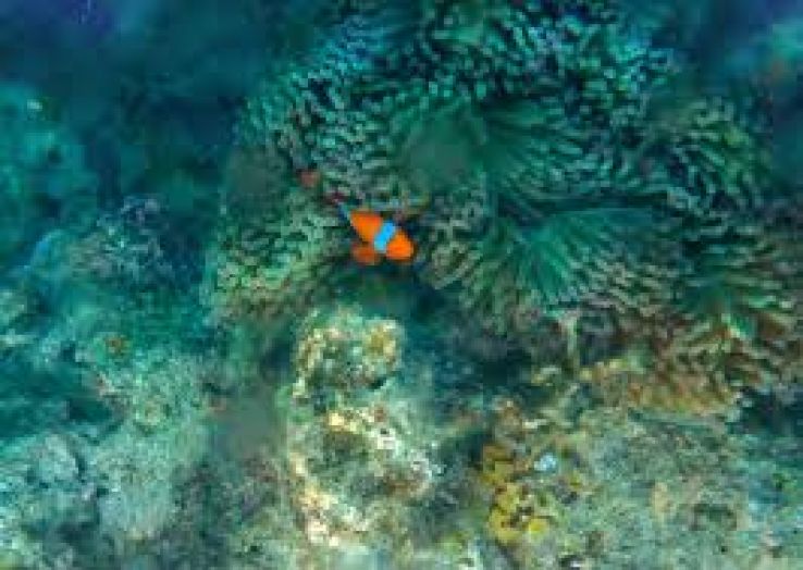 Mahatma Gandhi Marine National Park Trip Packages