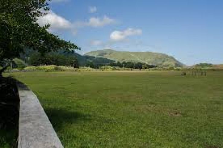 Queen Elizabeth Park Trip Packages