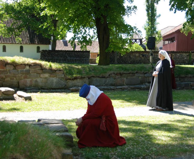 Borgarsyssel Museum Trip Packages