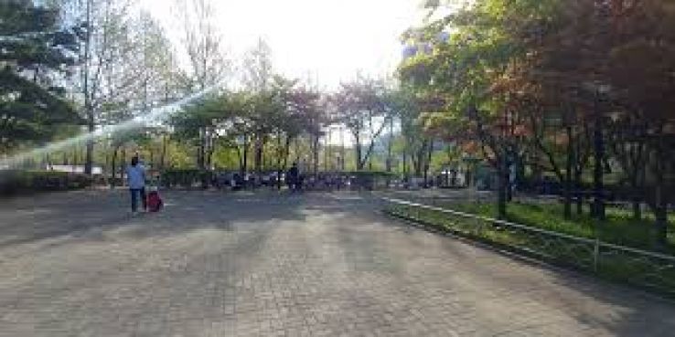Pyeongchon Central Park Trip Packages