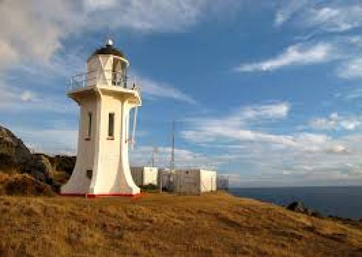 Baring Head Lighthouse Trip Packages