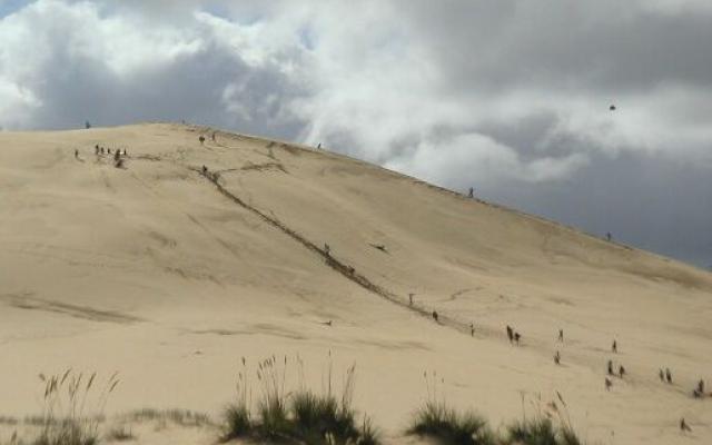 Surfing On Sand Dunes Trip Packages