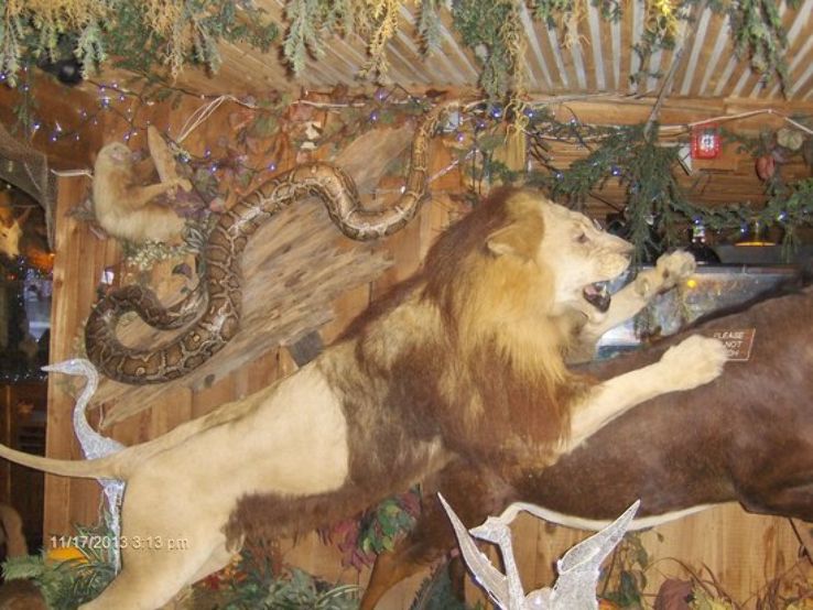 Clarks Fish Camp Trip Packages