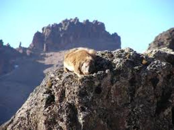 Mount Kenya National Park Trip Packages