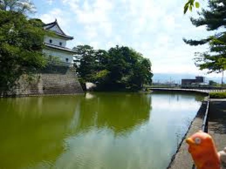 Shibata Castle Trip Packages