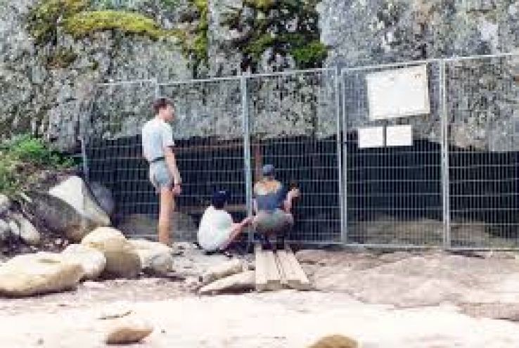 Wolf Cave Trip Packages