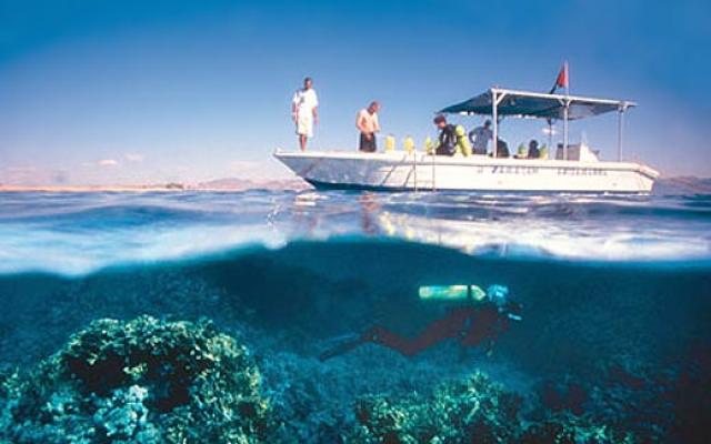 Scuba Diving: Fun Under Waters Trip Packages