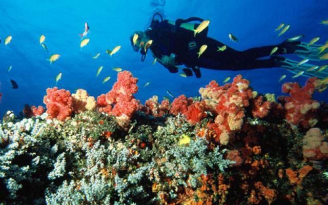 Extreme Scuba Diving Trip Packages