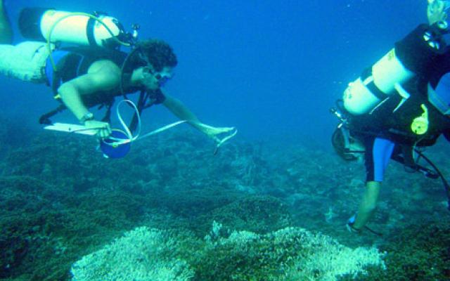 Scuba Diving Trip Packages