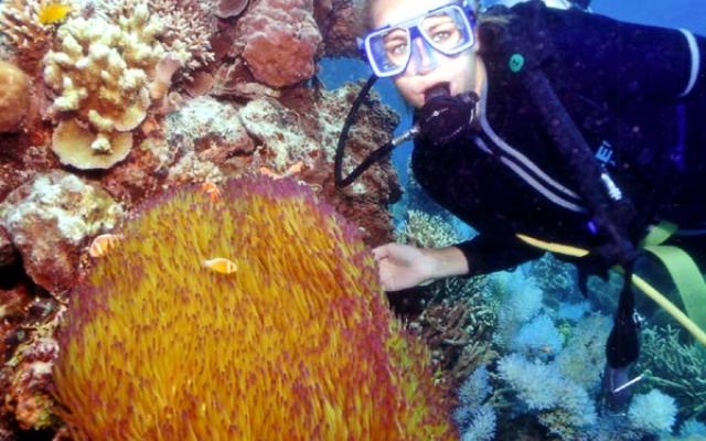 Scuba Diving Into Depths Trip Packages