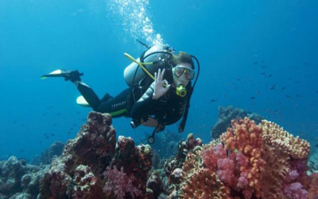 Favorable Scuba diving in Guam Trip Packages
